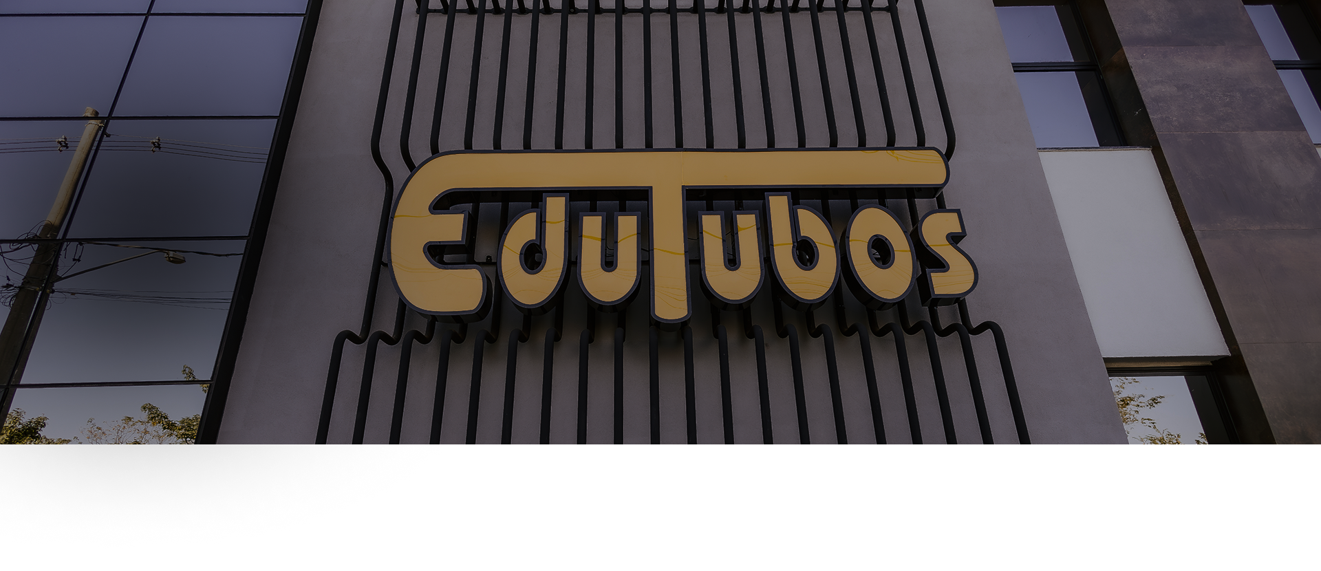 Serpentinas para Economizadores